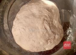 纯瘦肉韭菜水饺的做法图解2