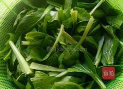 清炒油菜的做法图解2