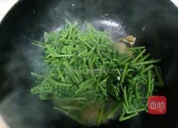 炒蕨菜的做法图解5