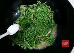 炒蕨菜的做法图解6