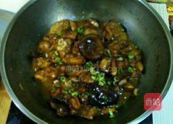 香菇炖鸡肉的做法图解7