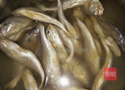 香辣小黄鱼的做法图解1