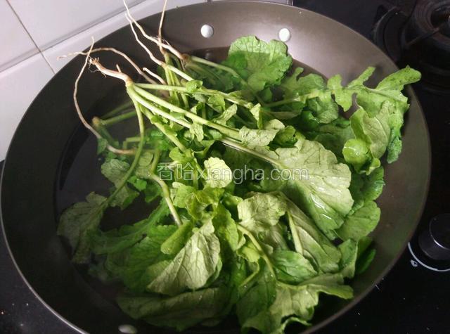 把萝卜苗仔细清洗干净，下开水锅焯至变软。