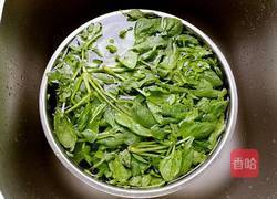 麻酱拌花生菠菜的做法图解4