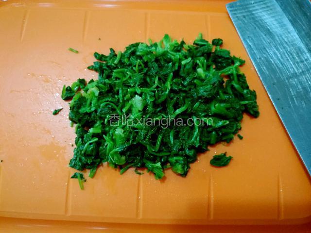 把菠菜挤去水份后用刀切碎。