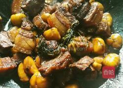 板栗烧五花肉的做法图解22