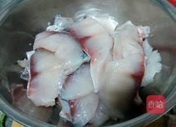 酸菜鱼的做法图解4