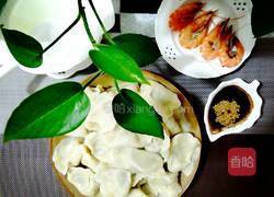 韭菜大肉饺子的做法图解12