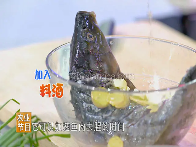 将盐撒在鱼身上，揉搓均匀，加入葱段、姜片、料酒腌制去腥