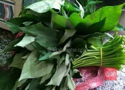 清炒红薯叶的做法图解1