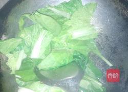 青菜面叶的做法图解5