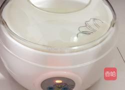 自制酸奶的做法图解6