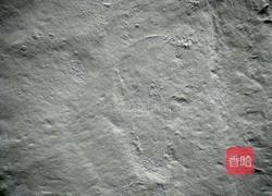 刀切葱油蒸饼的做法图解4