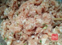 自制猪肉火腿肠的做法图解4