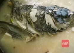 花鲢鱼头豆腐汤的做法图解12