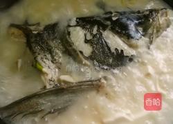 花鲢鱼头豆腐汤的做法图解14