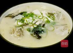 花鲢鱼头豆腐汤的做法图解15