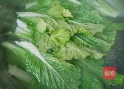 水灼小白菜的做法图解5