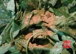 粉蒸红薯叶的做法图解2