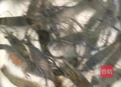 铁板螺丝虾的做法图解1