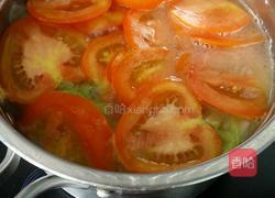 蕃茄煮白菜的做法图解6