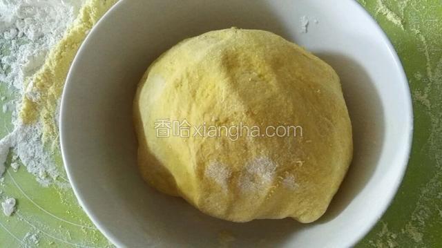 揉成光滑的面团，放温暖处发酵（如果太稀可以适当添加面粉）
