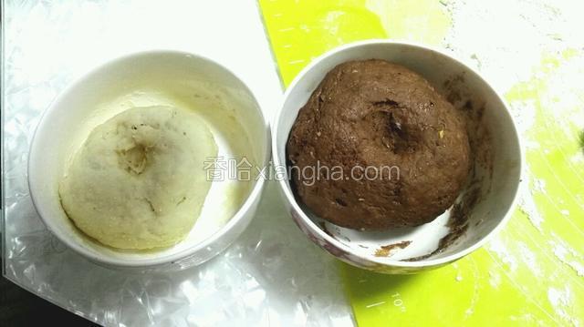 发酵至两倍大，用拇指按压不塌陷。