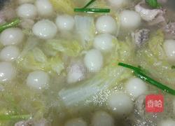 鲜鸡汤圆子的做法图解5