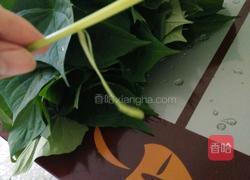 炒番薯叶的做法图解2