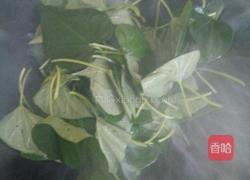 炒番薯叶的做法图解6