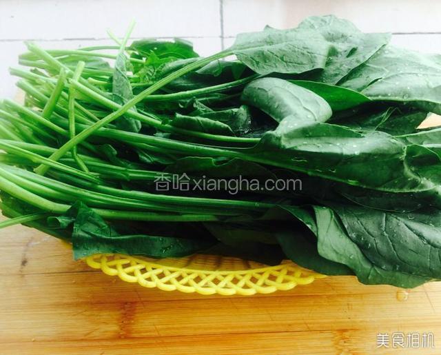 菠菜去根洗净控干