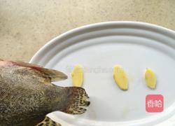 清蒸桂花鱼的做法图解2