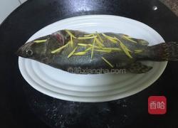 清蒸桂花鱼的做法图解4