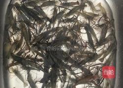 水煮河虾的做法图解1