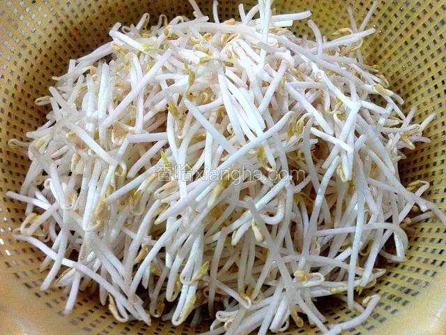 绿豆芽摘掉根部、清洗干净、沥干水份