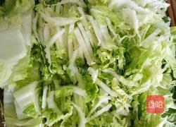 海螺白菜猪肉水饺的做法图解3