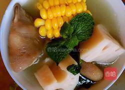 猪蹄莲藕汤的做法图解4