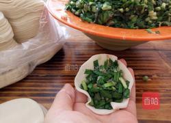 韭菜水饺的做法图解2