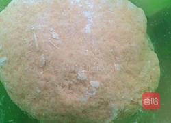 胡萝卜皮包菜肉馅的饺子的做法图解3