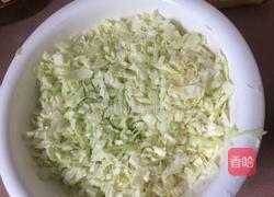 胡萝卜皮包菜肉馅的饺子的做法图解4