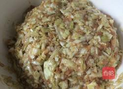 胡萝卜皮包菜肉馅的饺子的做法图解6