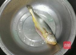 咸菜黄鱼汤的做法图解1