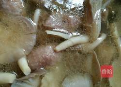 凤尾菇番鸭汤的做法图解6