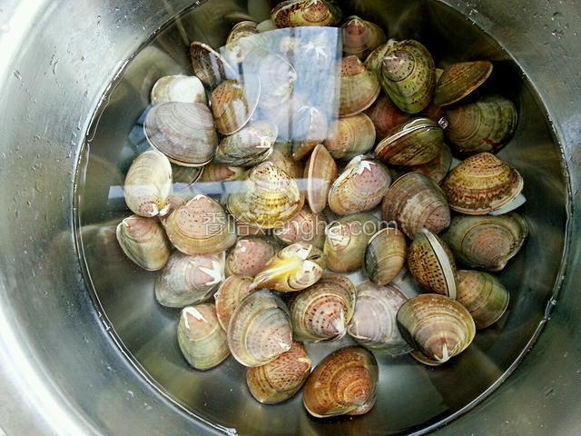 花蛤用清水加点盐和香油浸泡两个小时，使花蛤吐沙