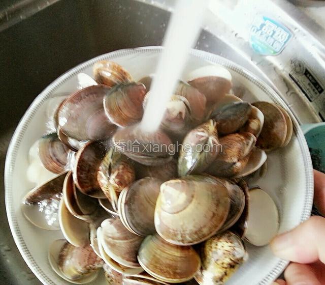 将花蛤用清水再次冲洗干净