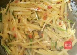 香辣土豆丝的做法图解4