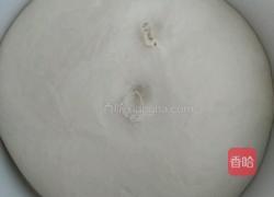酸奶机发面的做法图解5
