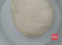 酸奶机发面的做法图解3