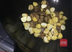 板栗烧鸡的做法图解6