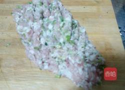 猪肉香菇小白菜馄饨的做法图解5